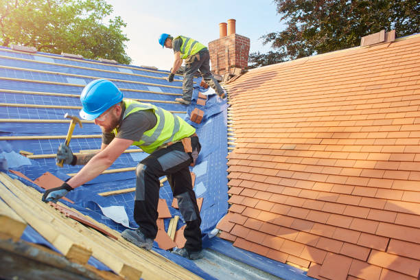 Best Metal Roofing Installation  in Apple Valley, CA